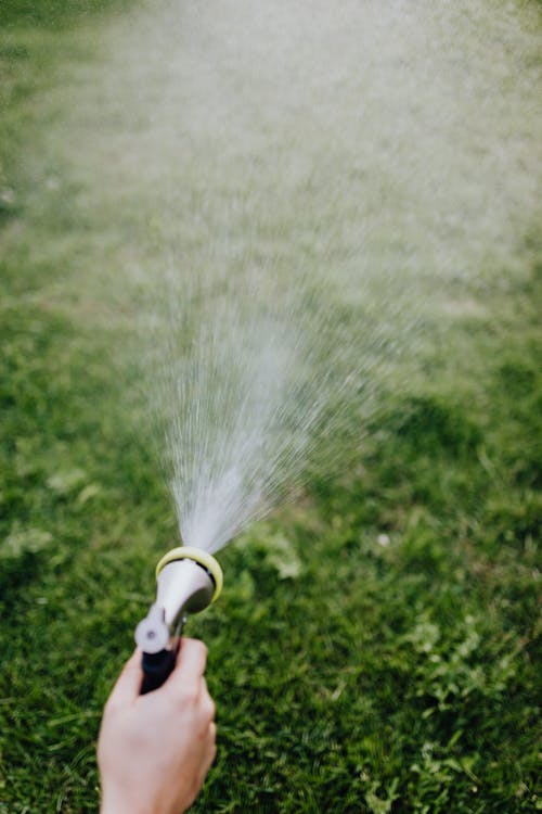 Close-Up Photo of a Person Watering the Grass