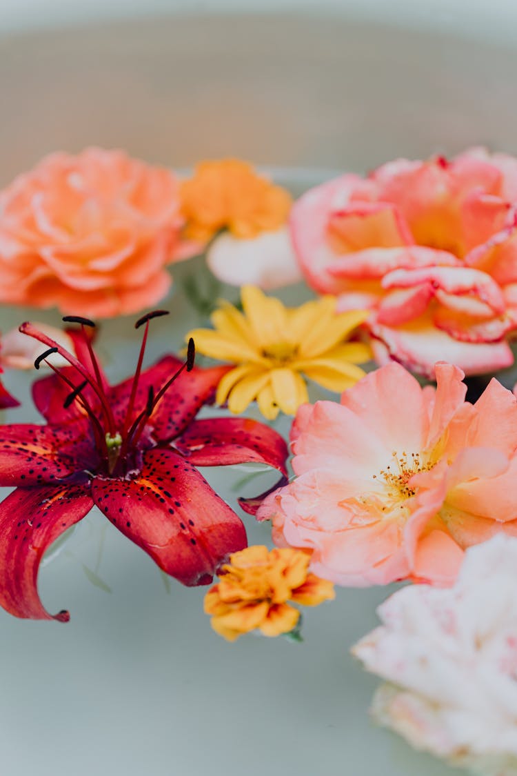 Photo Of Flowers Floating On Water