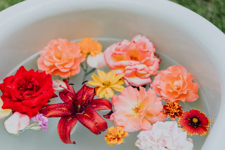 Photo Of Variety Of Flowers Floating On Water