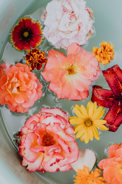  Yellow and Orange Flowers on Bowl with Water