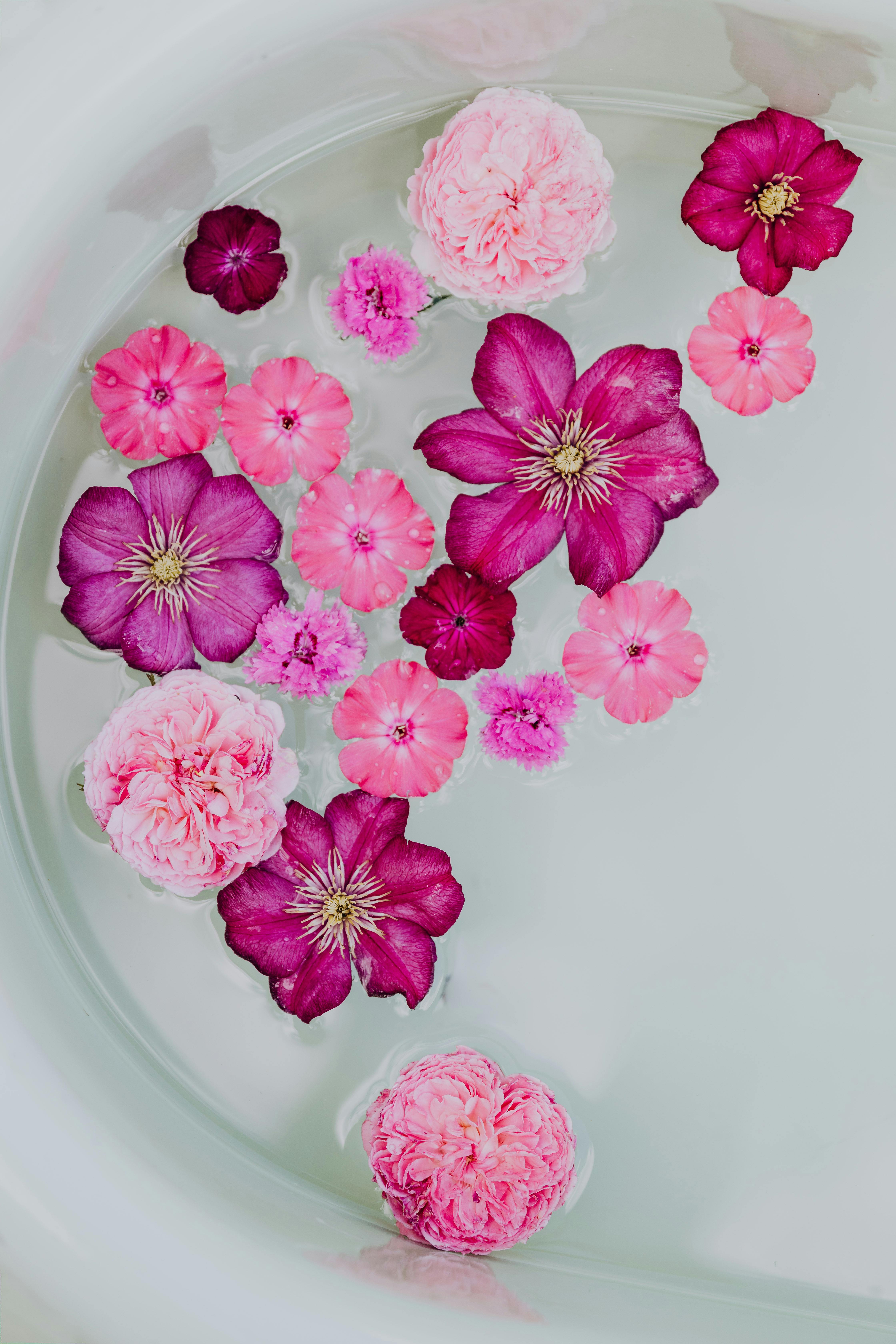 Free Aesthetic composition of pink and purple flowers floating in serene water, ideal for spa-themed visuals. Stock Photo