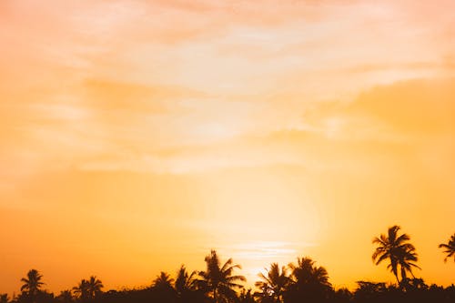 Ingyenes stockfotó horizont, naplemente, narancssárga ég témában