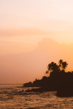 Serene beach scene with palm trees silhouetted against a vibrant sunset sky.