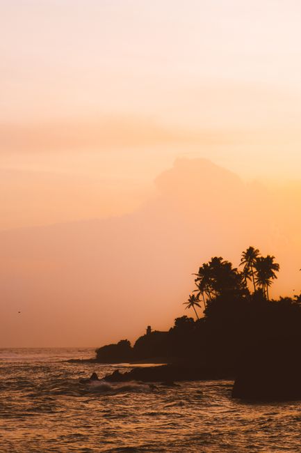 Serene beach scene with palm trees silhouetted against a vibrant sunset sky.