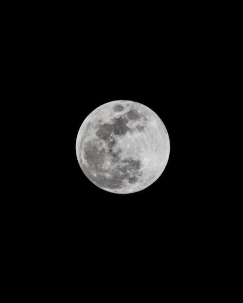 Free Moon at Night  Stock Photo