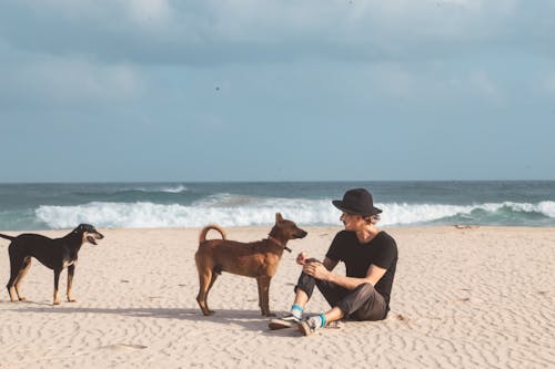 Man Sitting on Sand with Dogs