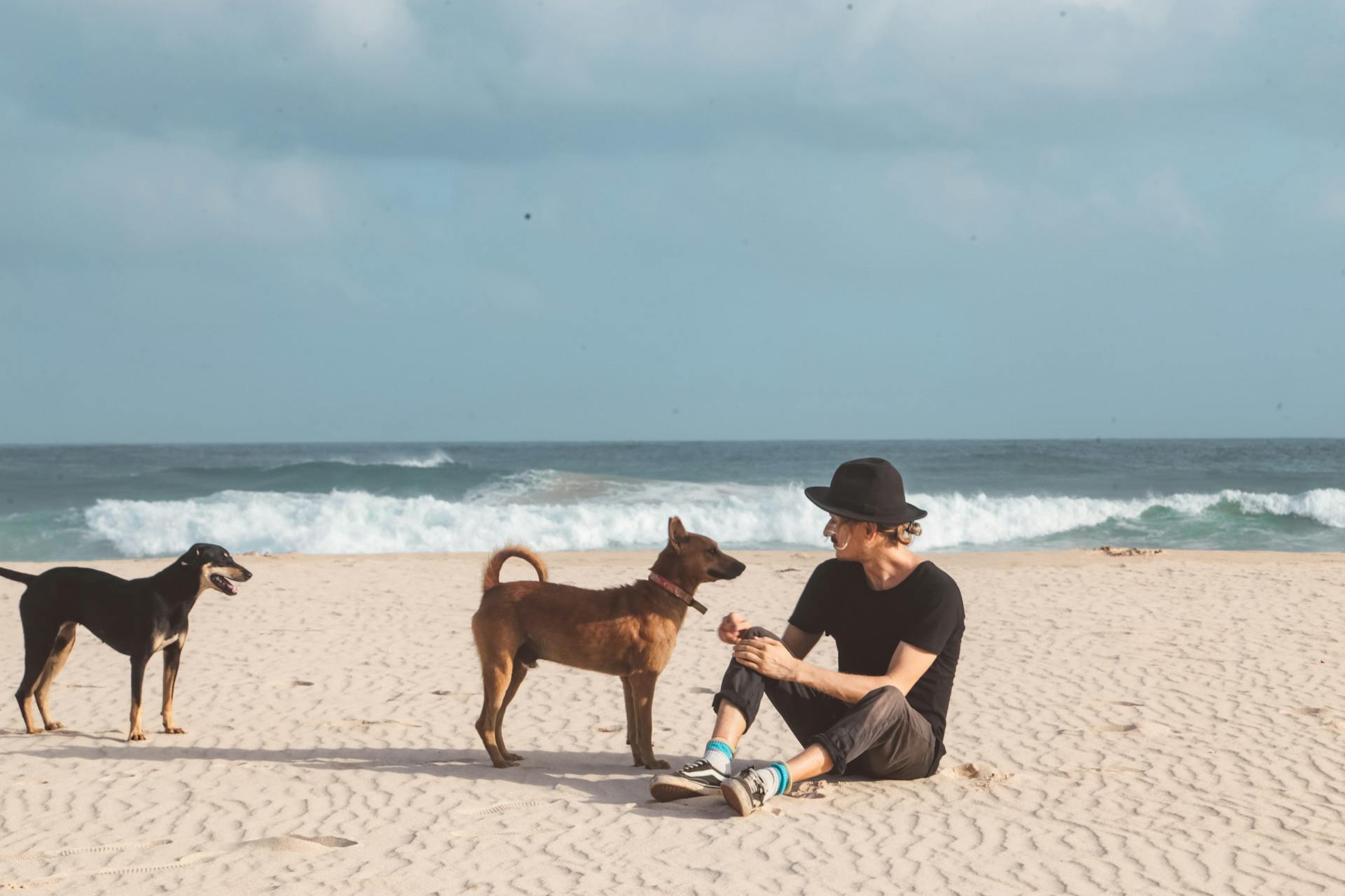 Man Sitting on Sand with Dogs