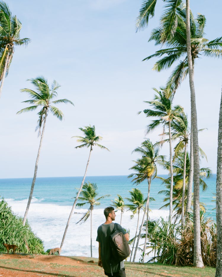 Back View Of A Man Walking Towards The Beach