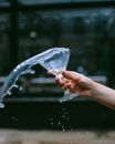 Person Holding Clear Plastic Pack