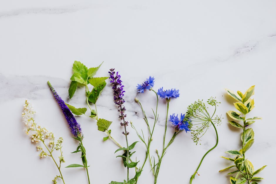 That Cheese Plate's Guide to Edible Flowers — THAT CHEESE PLATE