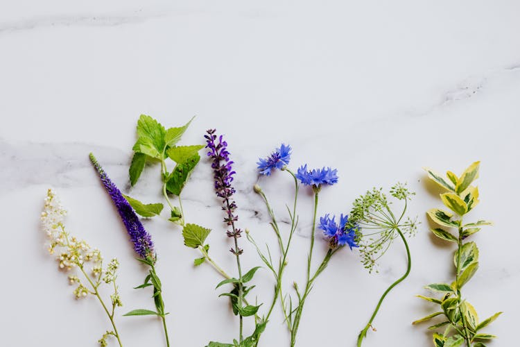 Edible Flowers And Mint Leaves On White Surface