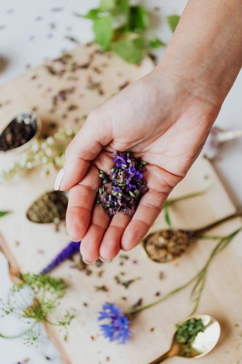 Free A close-up of a hand holding a fresh herbal mix with purple flowers on a wooden board. Stock Photo