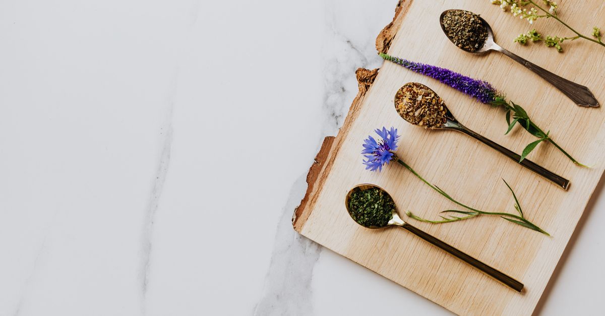 Les 10 Plantes Médicinales qui Aident à Combattre l'Insomnie