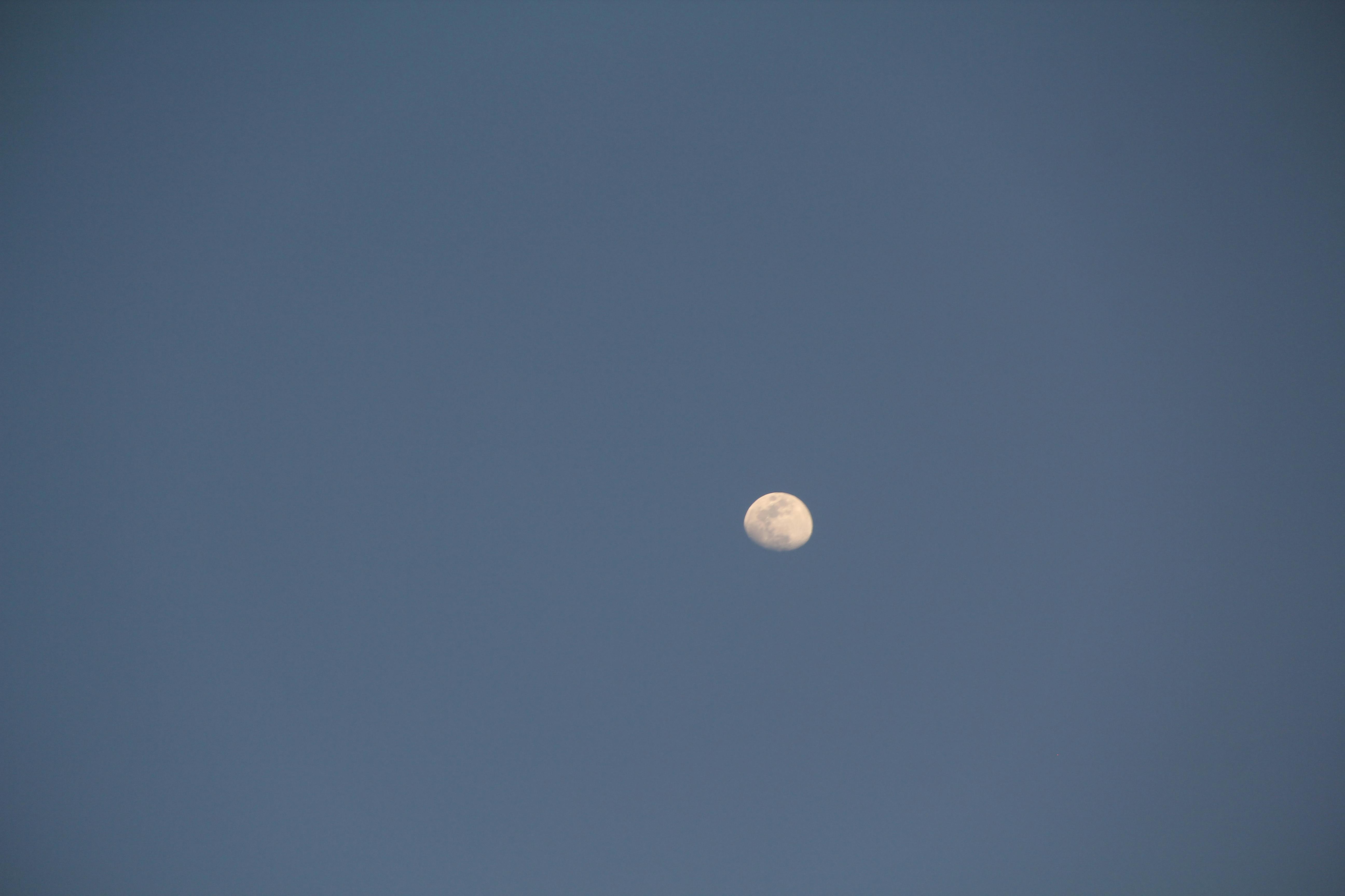 A tranquil view of the moon against a clear evening sky, highlighting its natural beauty.
