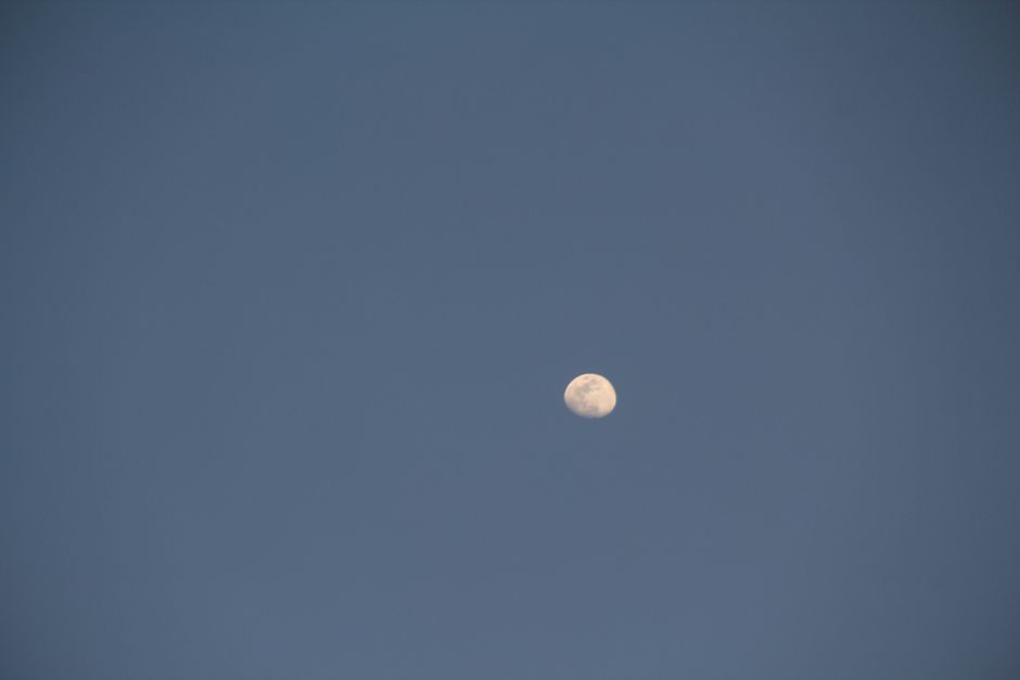A tranquil view of the moon against a clear evening sky, highlighting its natural beauty.