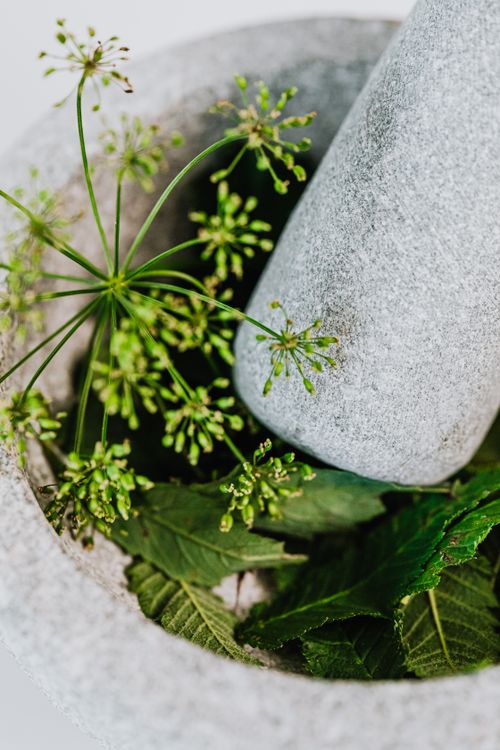 Free A detailed view of fresh green herbs with a stone mortar and pestle, ideal for culinary and herbal themes. Stock Photo