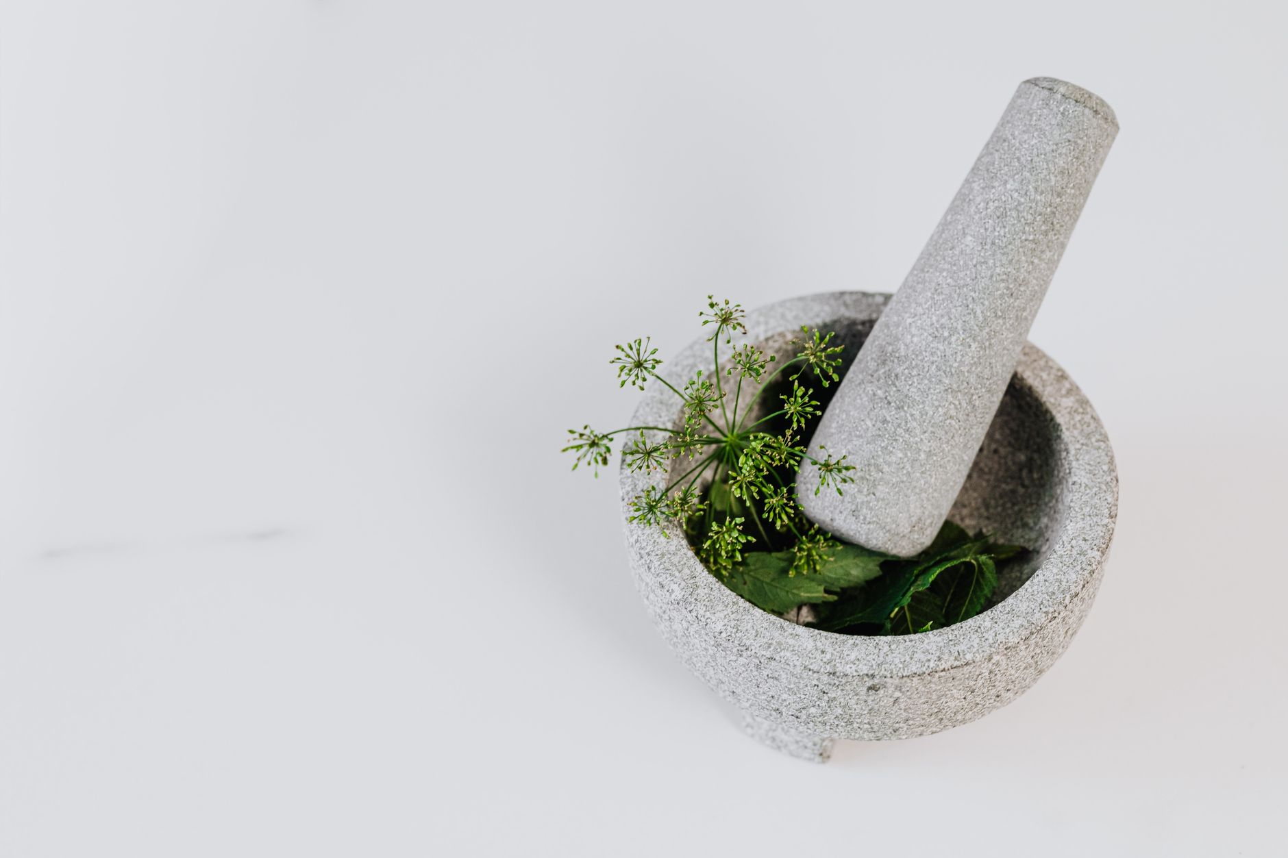 Best Mortar and Pestles (2026)