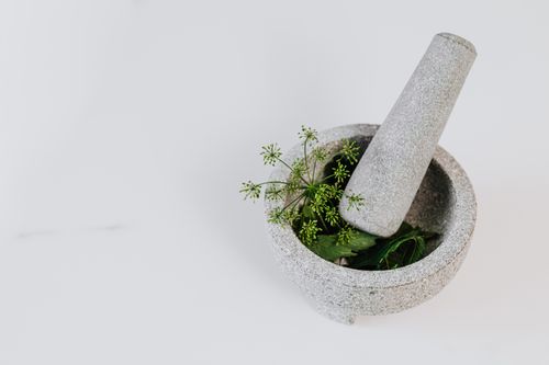 Free A stone mortar and pestle with fresh green herbs against a white background, perfect for culinary uses. Stock Photo