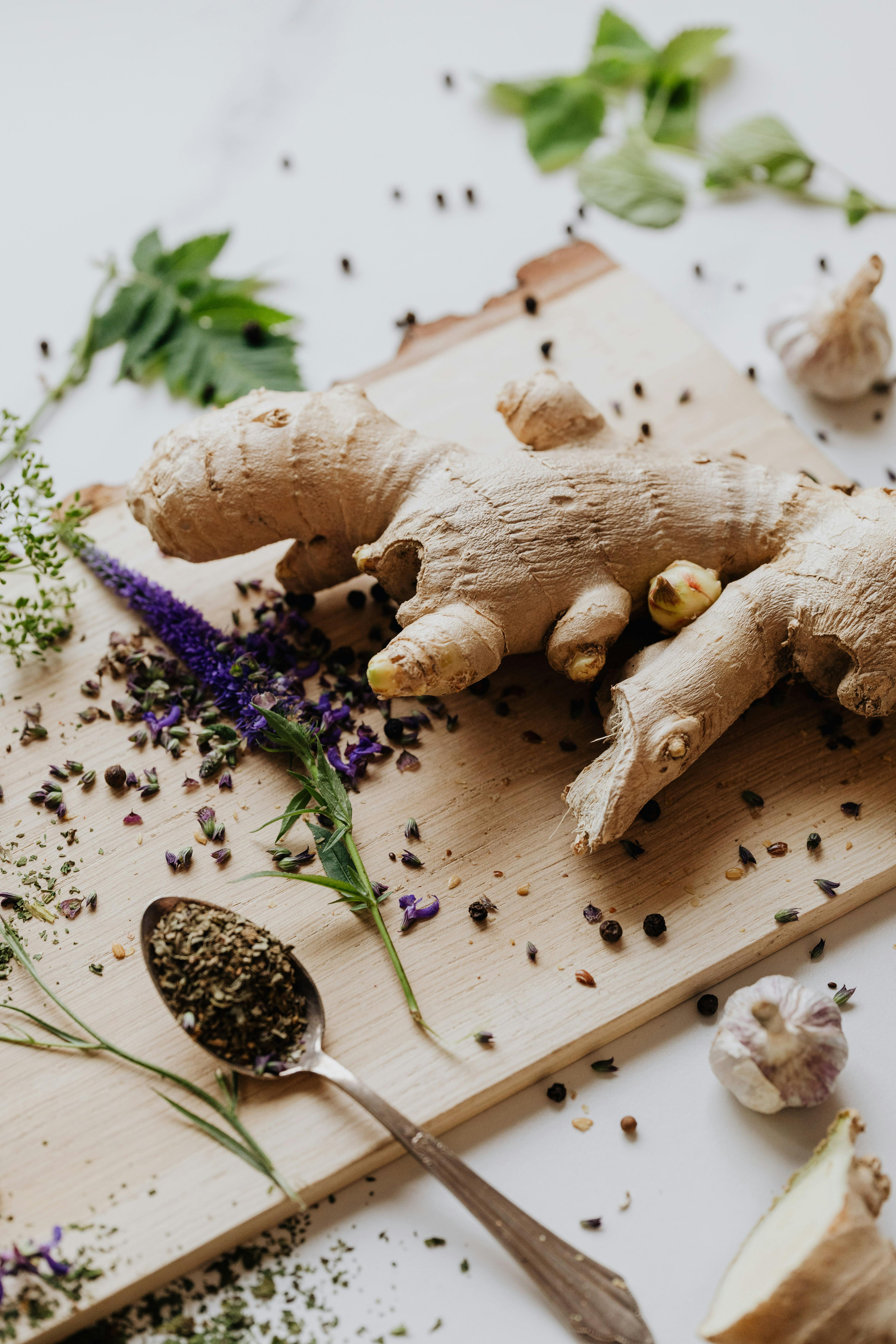 Ginger Root Luya - Urban Goes Green Plant Guide