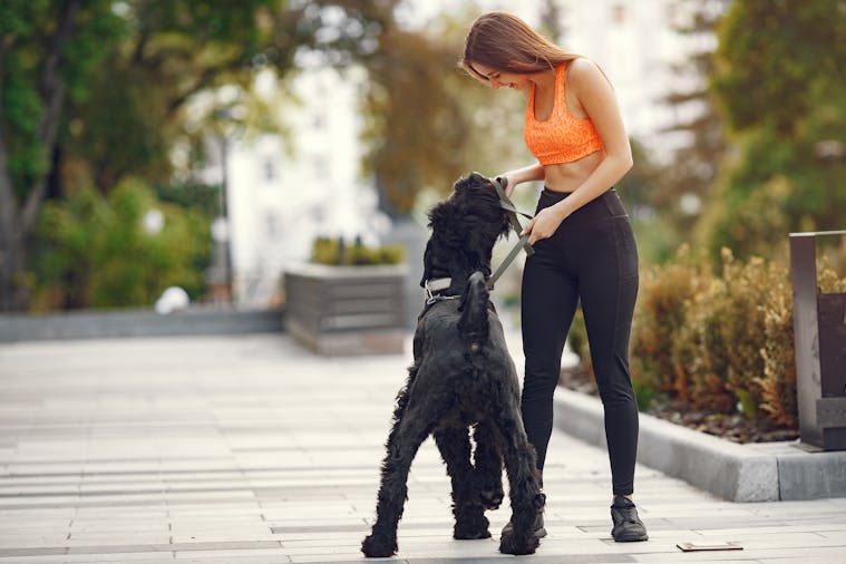 A young woman in athletic wear walking her black dog on an urban walkway with greenery.