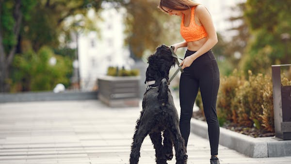 A young woman in athletic wear walking her black dog on an urban walkway with greenery.