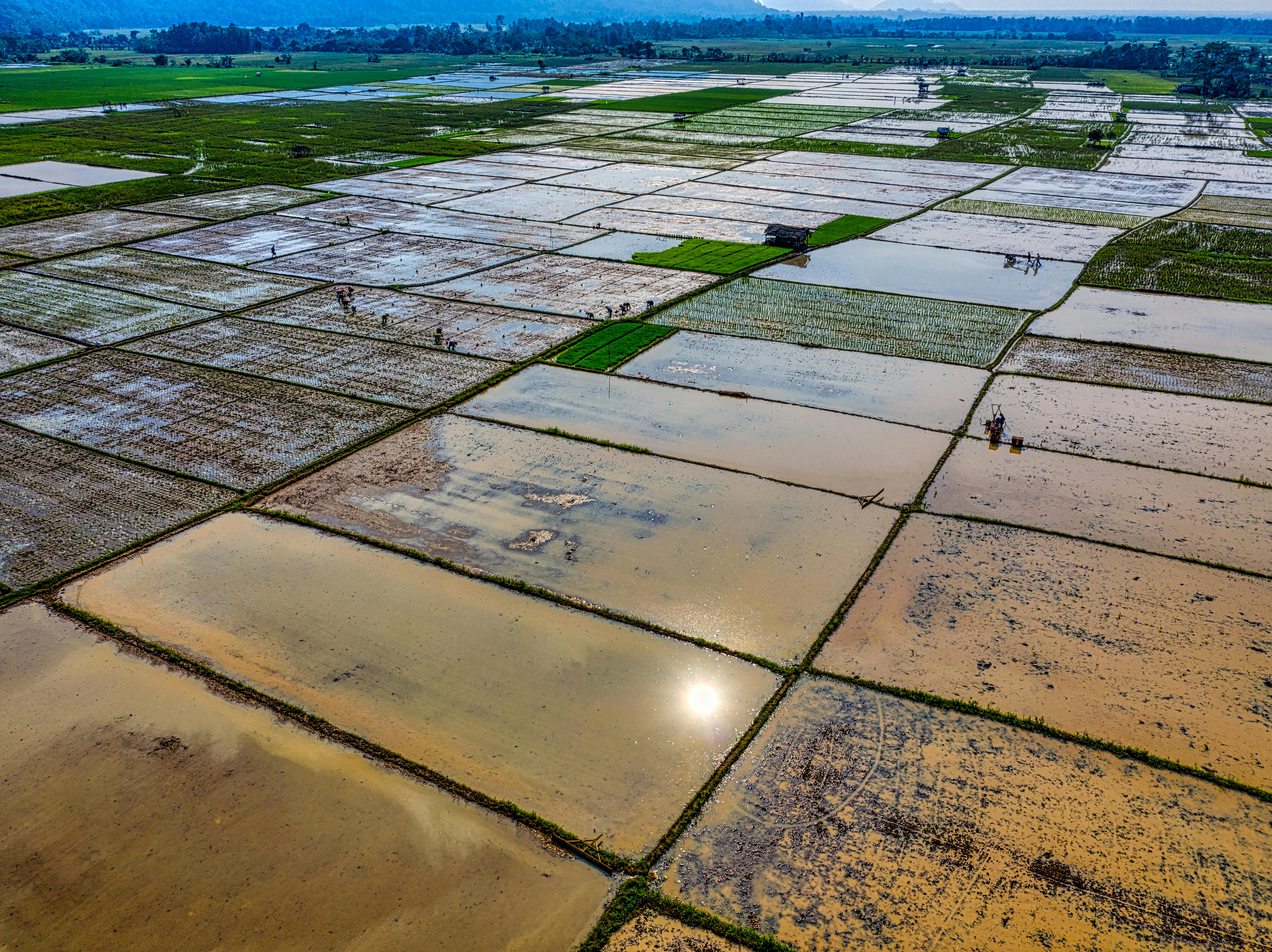 aerial shot of farmland