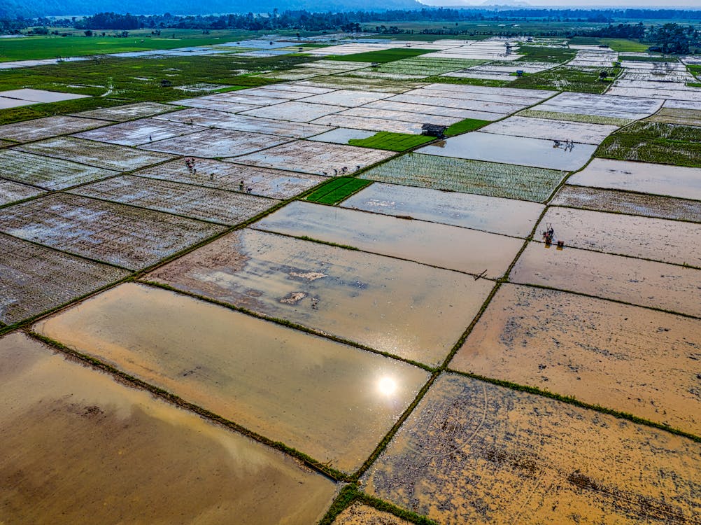 Photos gratuites de agriculture, caméra drone, campagne