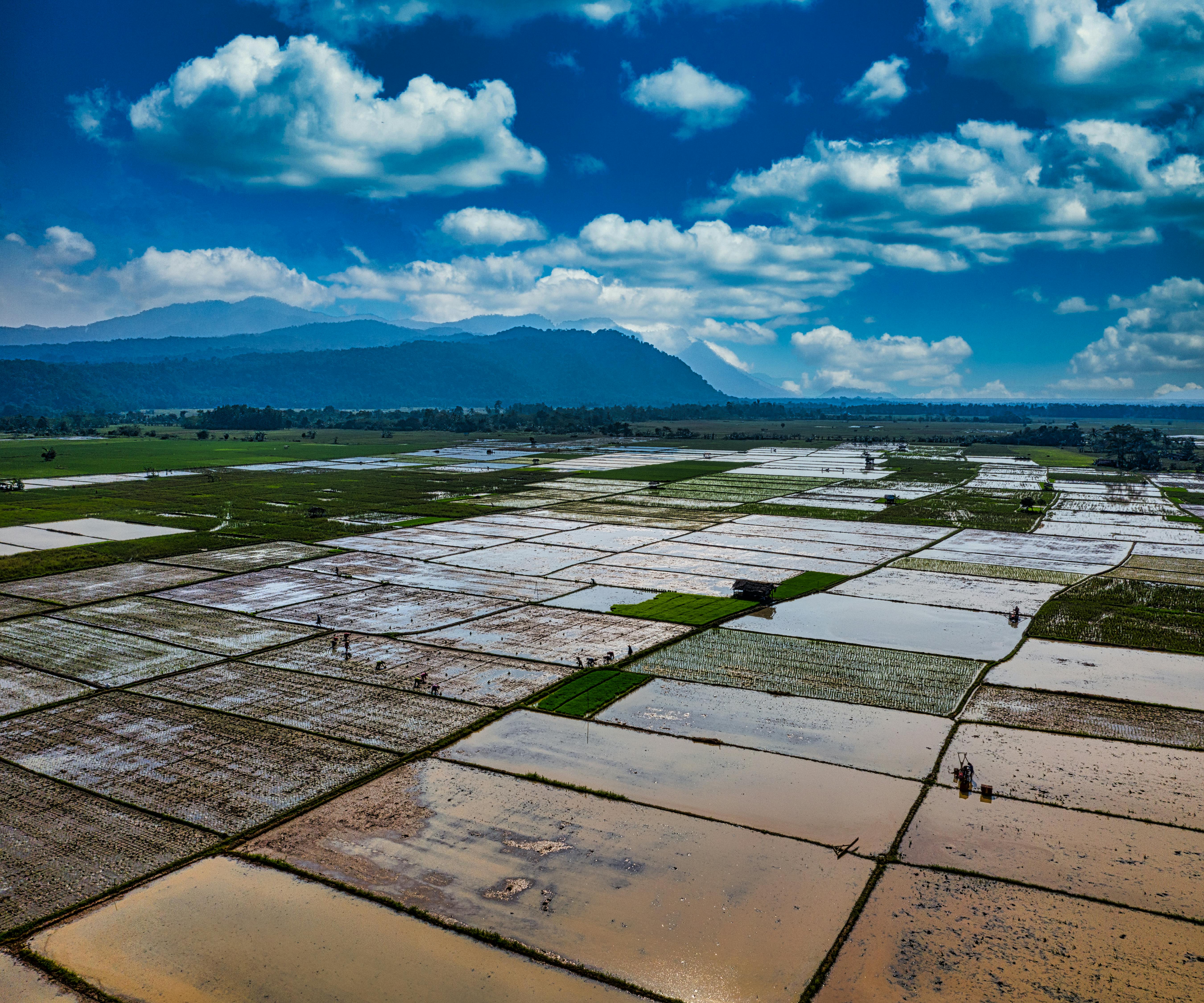 green grass field near body of water under blue and white cloudy sky