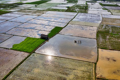 Fotos de stock gratuitas de agricultura, al aire libre, cámara de dron