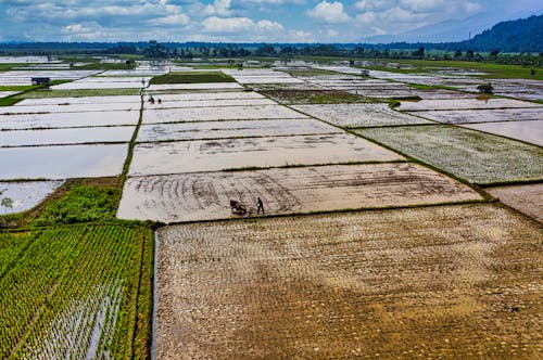 Aerial Shot of Farmland