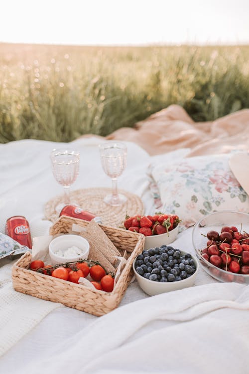 Immagine gratuita di coperta da picnic, eleganza, estetico