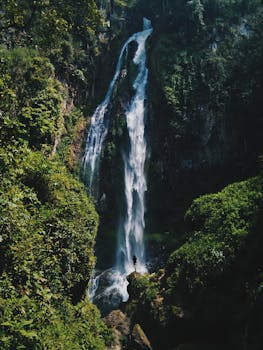 在印度尼西亚西苏门答腊岛，有一座绿树成荫的高耸瀑布