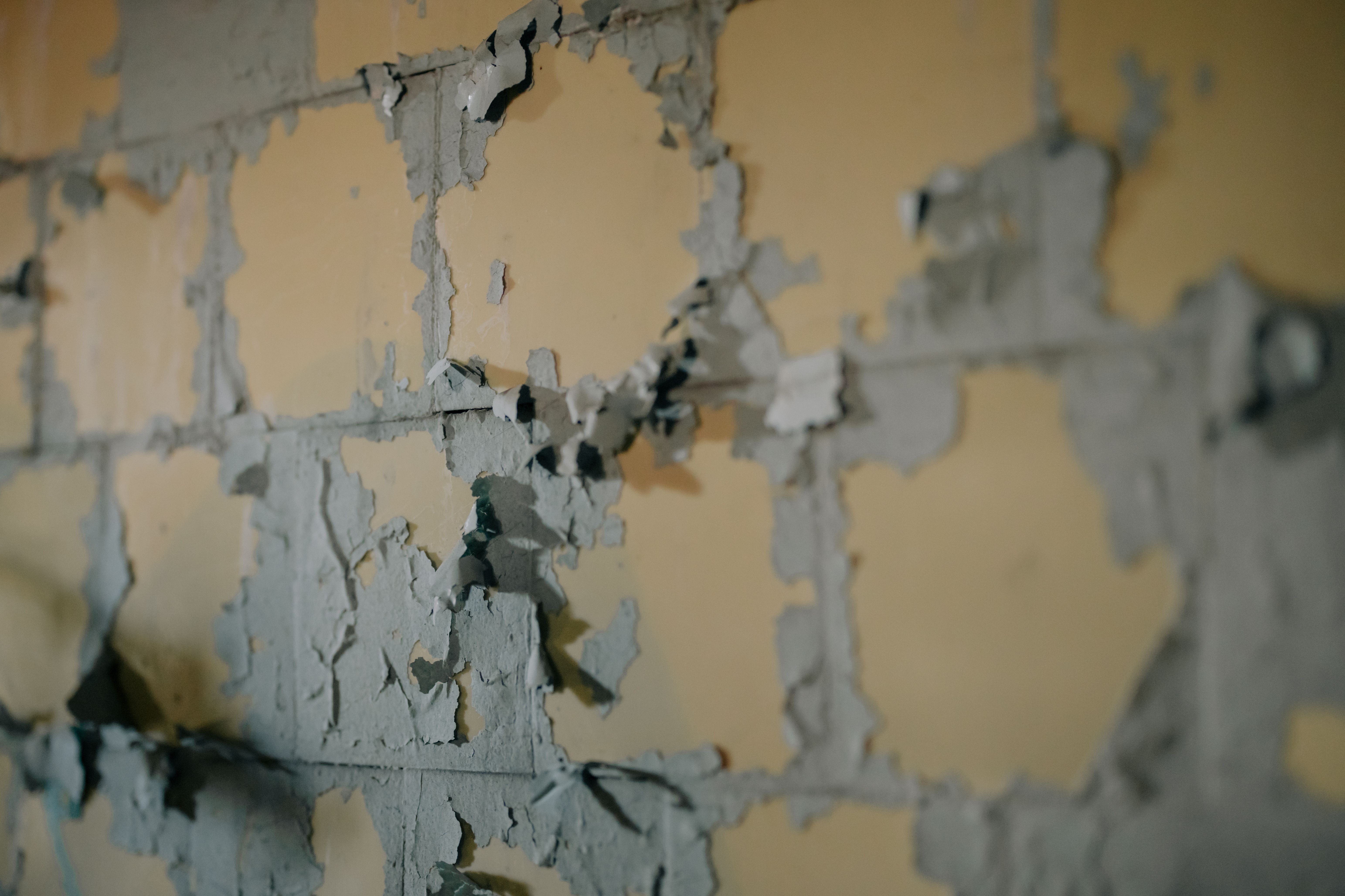 Peeling paint on an older home is worth investigating before it's worth ignoring