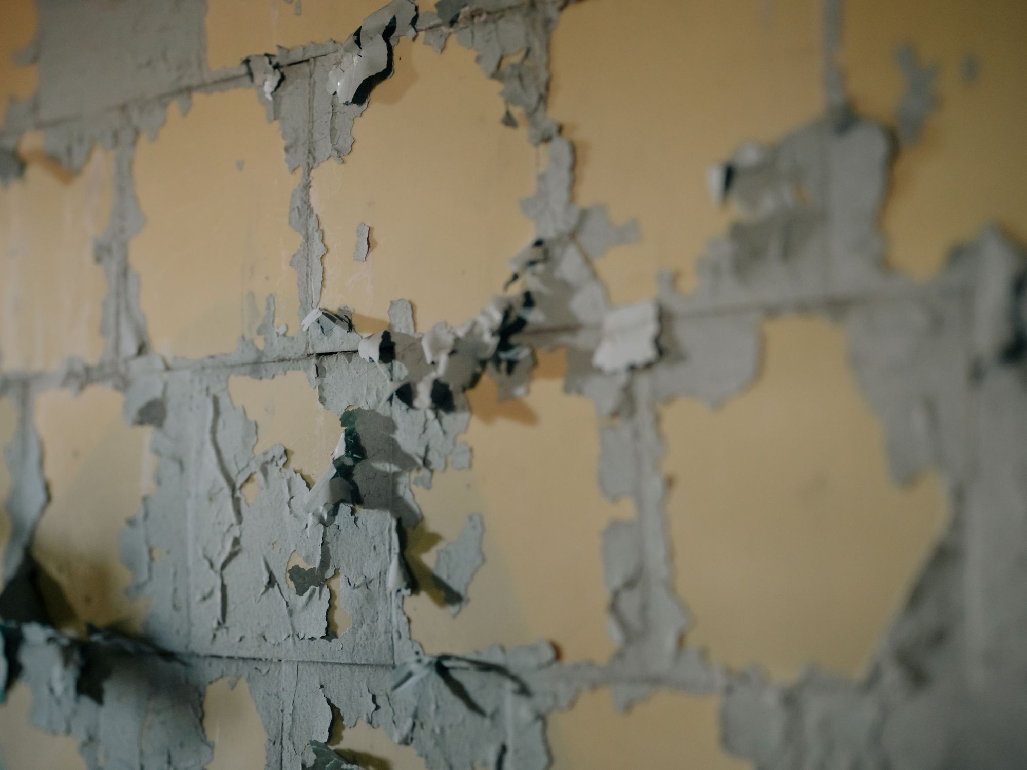Painters & Decorators in Palmers Green, London — professional decorator painting a wall with a roller