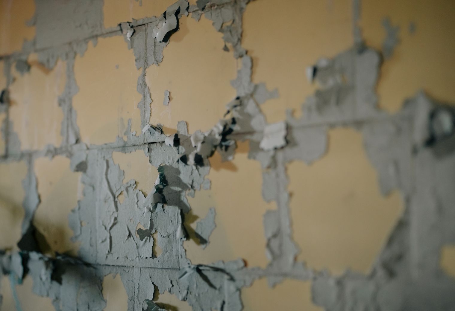 Masonry and Render Painting in Blackfriars — walls rolled to an even, flat finish