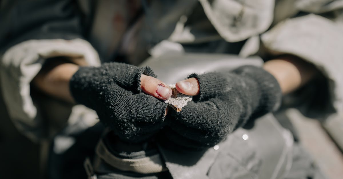 The Mind's Quantum 1 image text