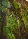 Green and Brown Abstract Painting