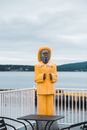 Statue of man with beard and tobacco pipe wearing yellow hat and clothes with funny sign reading Capt Dildo placed on scenery of lakeside