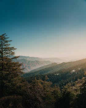 Breathtaking view of forested mountains in Nerwa, Himachal Pradesh at sunrise.