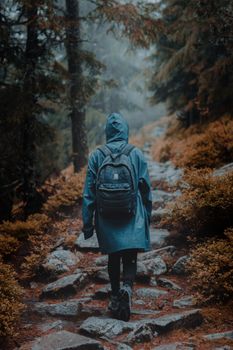 在薄雾笼罩的森林小路上，雨天徒步旅行的人展现了冒险与孤独