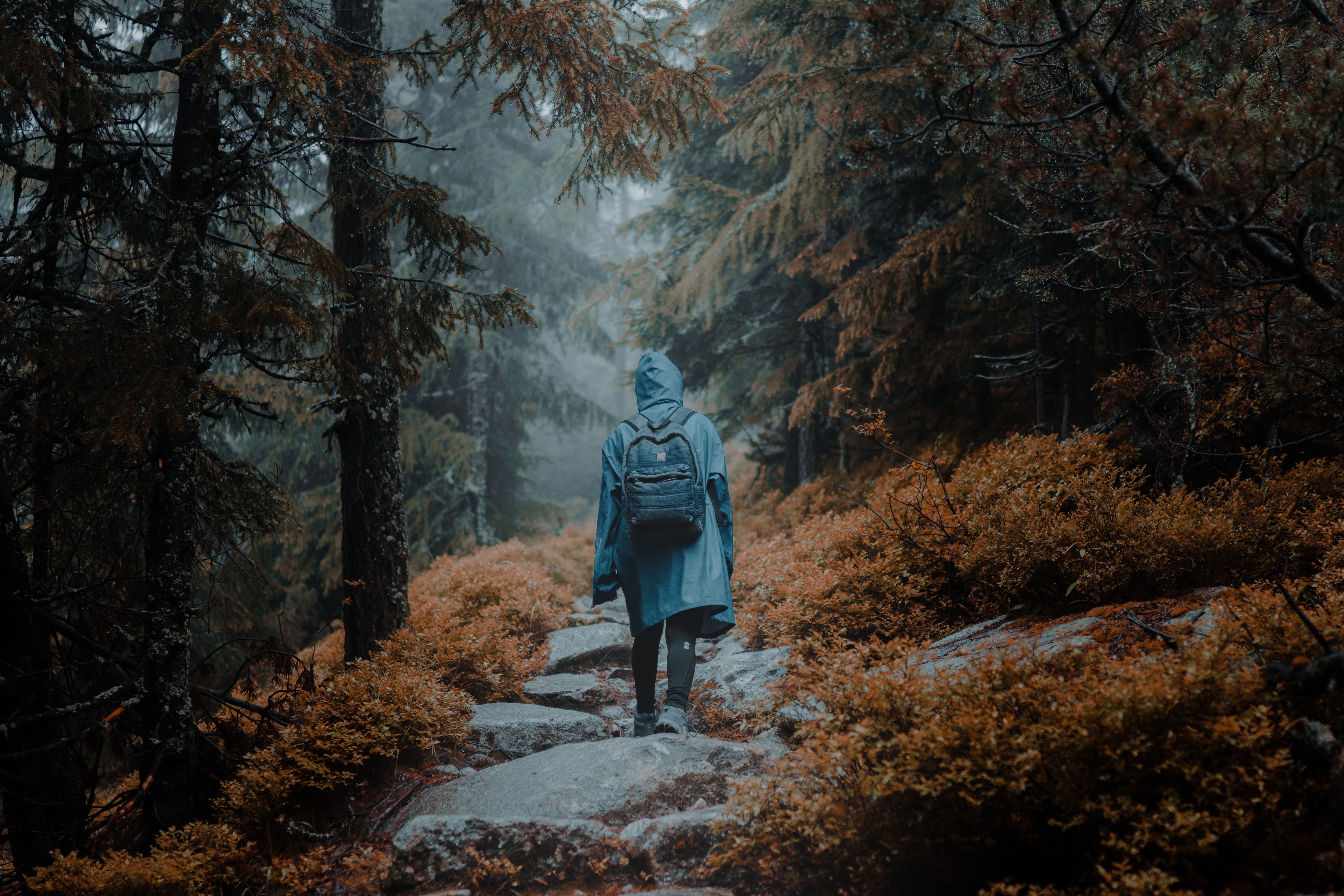 hiker autumn forest trail