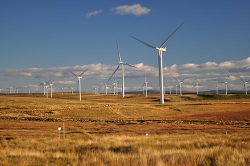 Photograph of White Windmills Under a Blue Sky