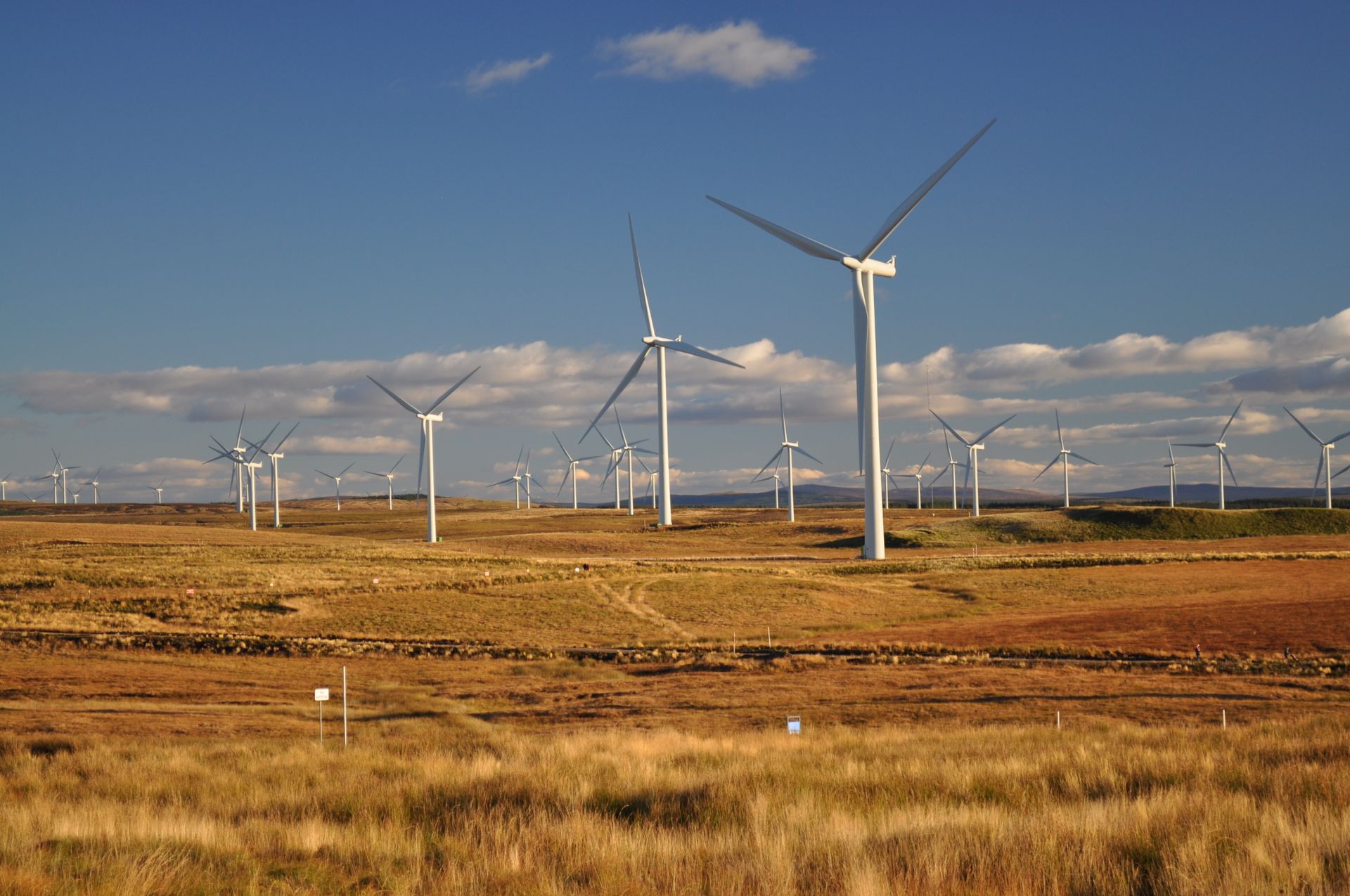 Wind turbines and electricity grid in the UK
