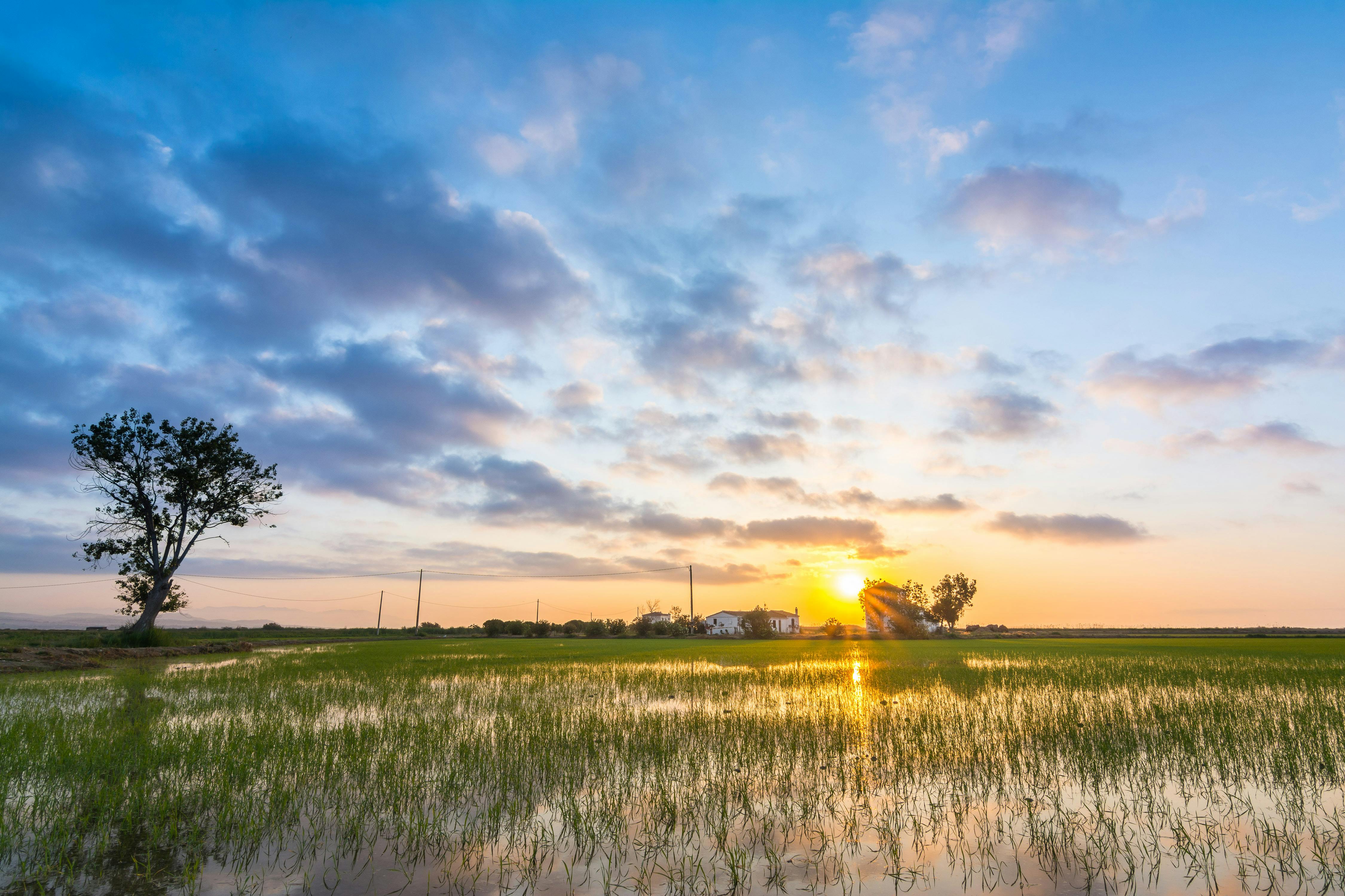 climate resilience — Photo by Andrei Oprinca on Pexels