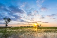 Photo of a Rice Field During Sunrise