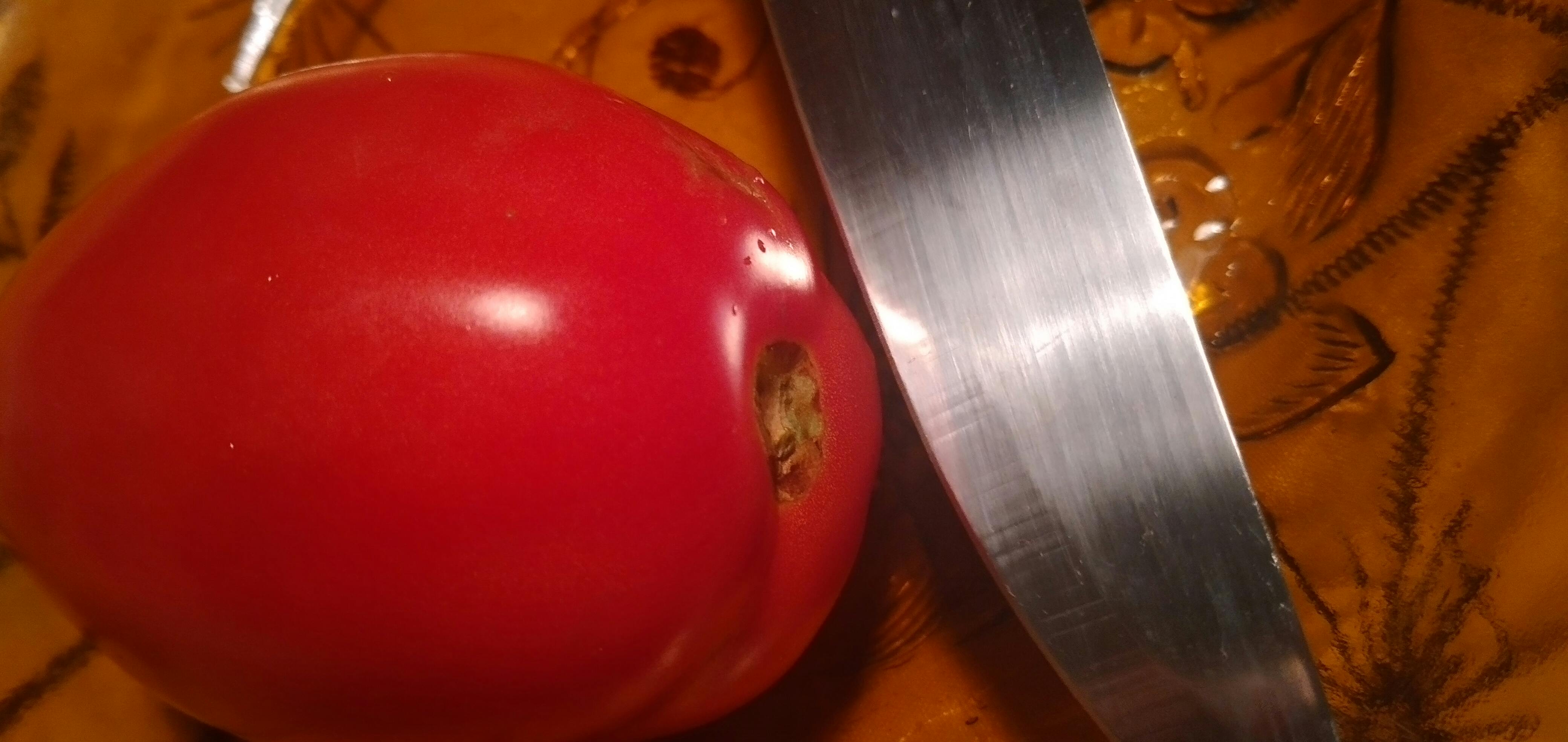 family gathering traditional