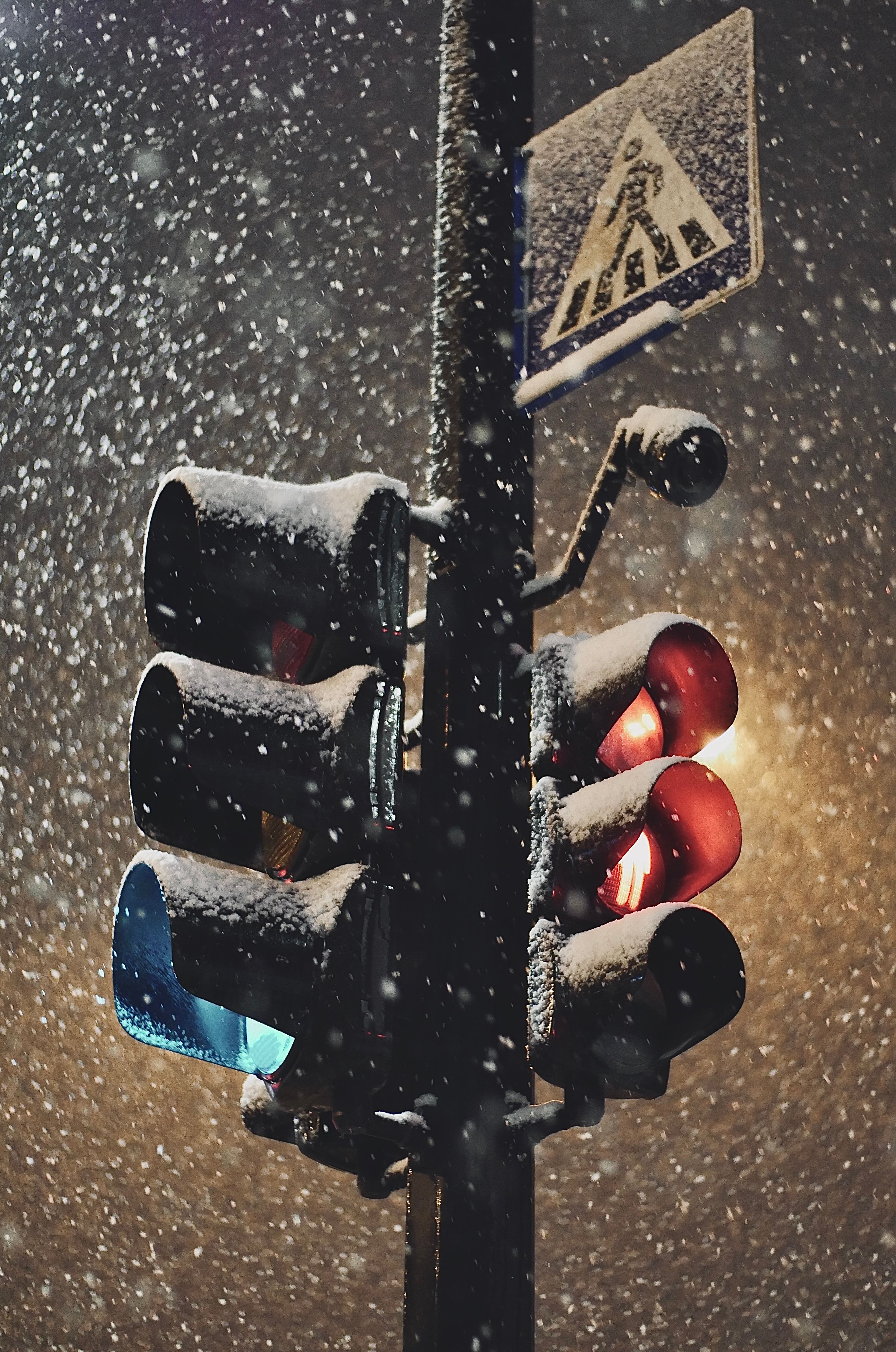Stop Light in Close-Up Photography · Free Stock Photo