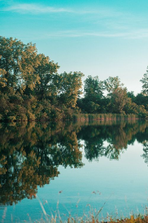Free Peaceful lake reflecting trees on a sunny day, showcasing nature's tranquility and calmness. Stock Photo