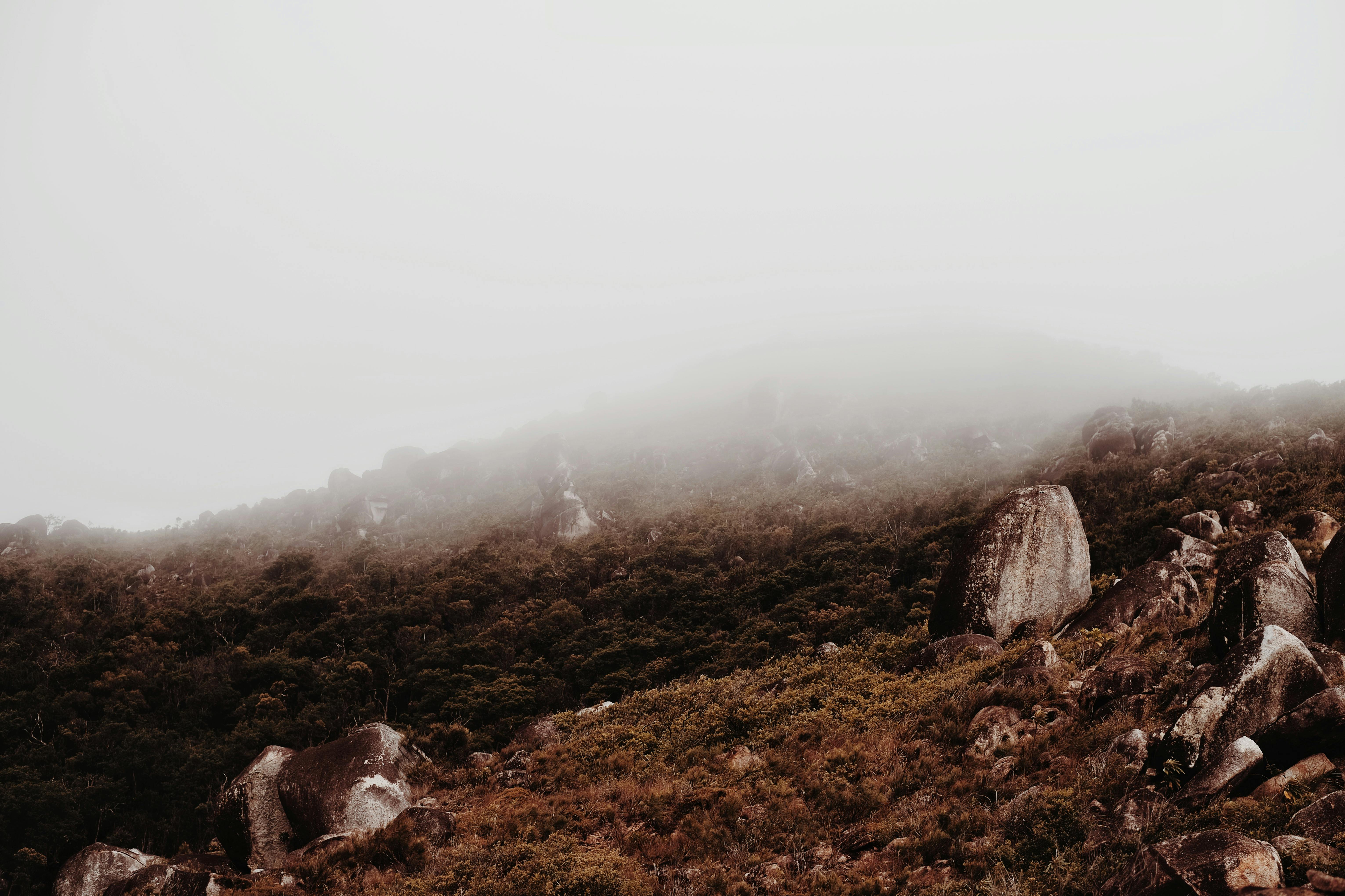 Fitzroy Bohemian Trail