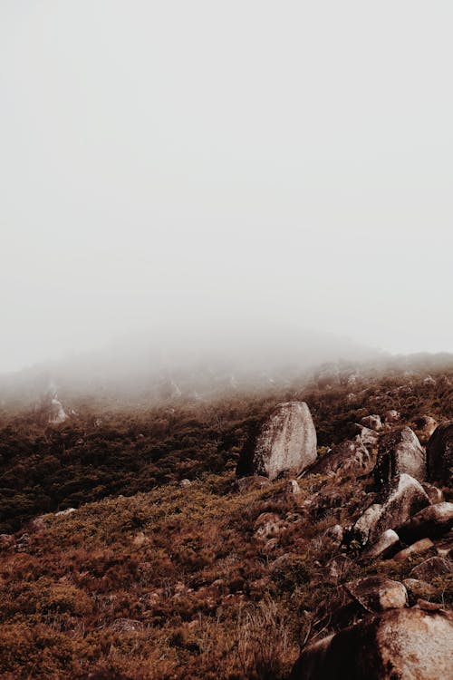 Brown Mountain Covered In Fog